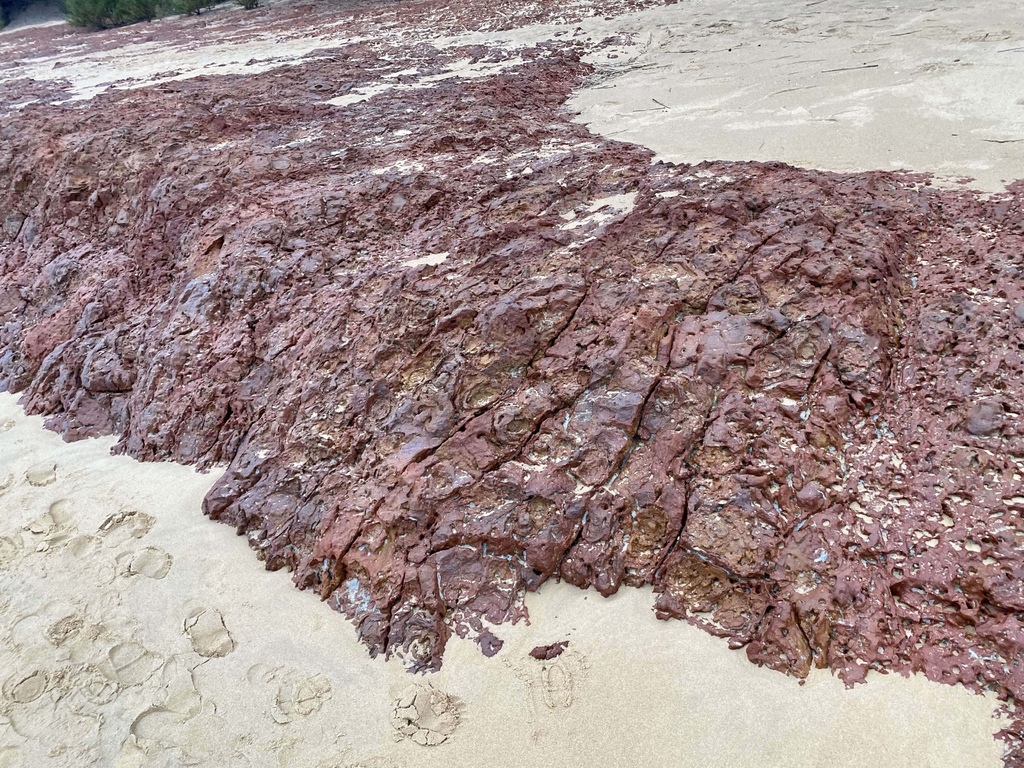 小金門烈嶼景點-走訪青岐港(青岐碼頭)觀賞綠石槽、玄武岩(金門唯一玄武岩風化海岸)