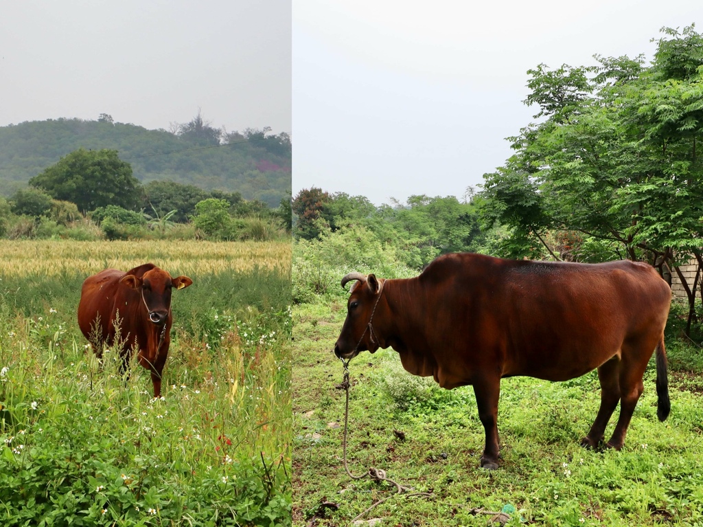 小金門烈嶼景點-丁小羽帶你們走訪雙口戰鬥村、雙口沙灘 小金門烈嶼景點-丁小羽帶你們走訪雙口戰鬥村、雙口沙灘