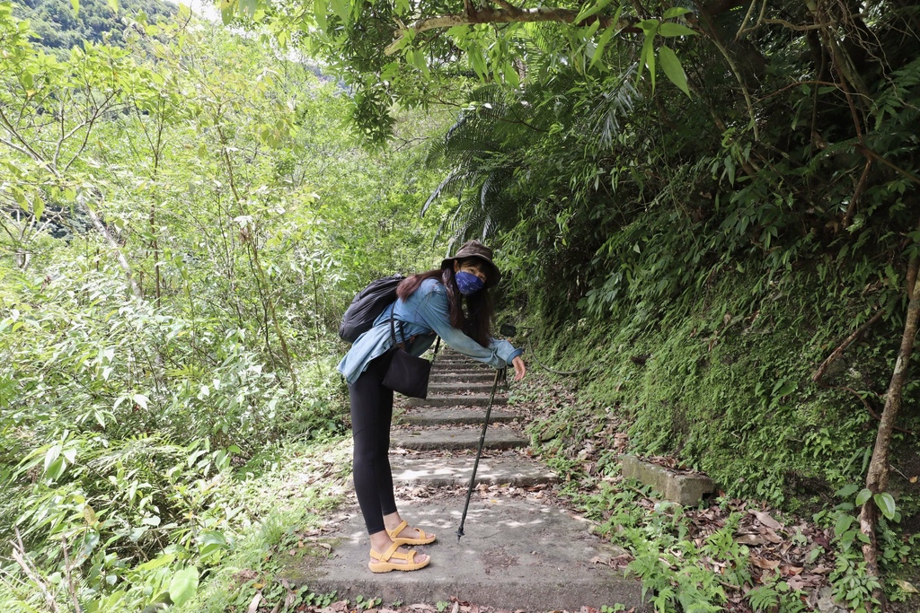 出發宜蘭瀑布景點秘境！一起去位於宜蘭南澳的「澳花瀑布」