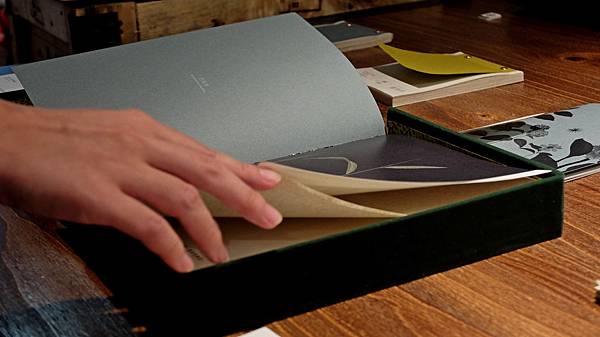 紙植 (10).jpg 紙植 (10).jpg