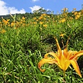 080822-152.jpg