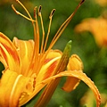 080822-137-2.jpg