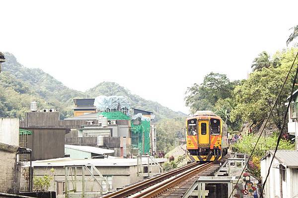 平溪天燈+侯硐貓村