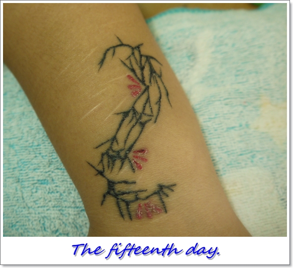 The fifteenth day