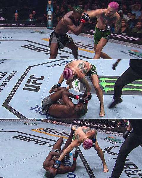 IMG-9501.JPG IMG-9501.JPG