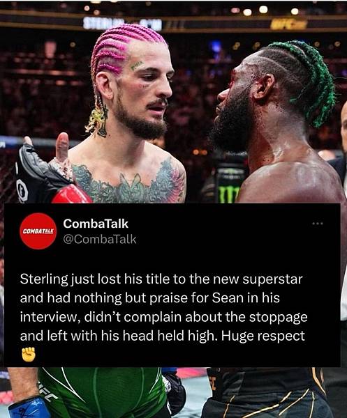 IMG-9516.JPG IMG-9516.JPG