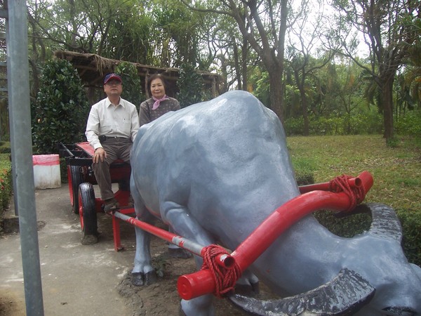 台南縣走馬瀨農場農作物藝術品(15)