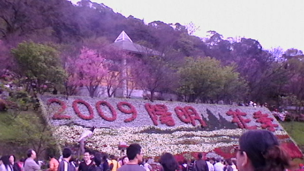 2009年陽明山花季