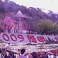 2009年陽明山花季