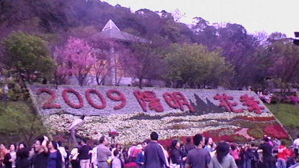 2009年陽明山花季