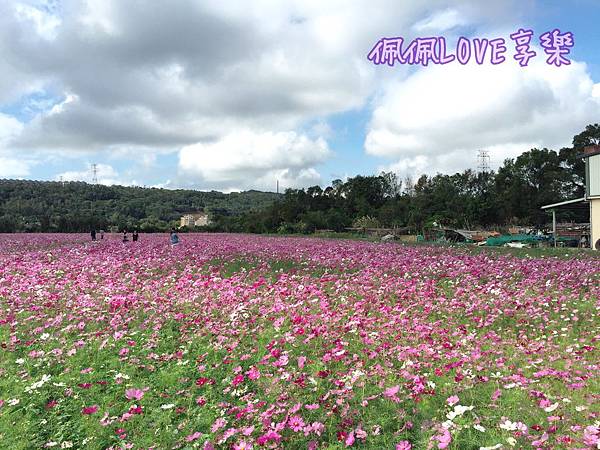 2015-12-01 01.49.25.jpg