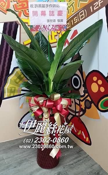 手作烘焙坊盆栽 開幕誌慶盆栽 豪華型盆栽 台北市配送盆栽 罐頭塔 罐頭座 高架花籃 水果籃 羅馬柱 盆栽 痞客邦 手作烘焙坊盆栽 開幕誌慶盆栽 豪華型盆栽 台北市配送盆栽 罐頭塔 罐頭座 高架花籃 水果籃 羅馬柱 盆栽 痞客邦