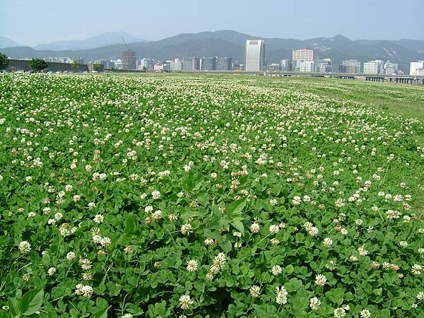 060318_河濱公園 