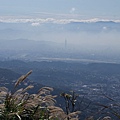 111105_大屯山_035PE051033.JPG