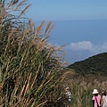 111105_大屯山_016PE050932.JPG