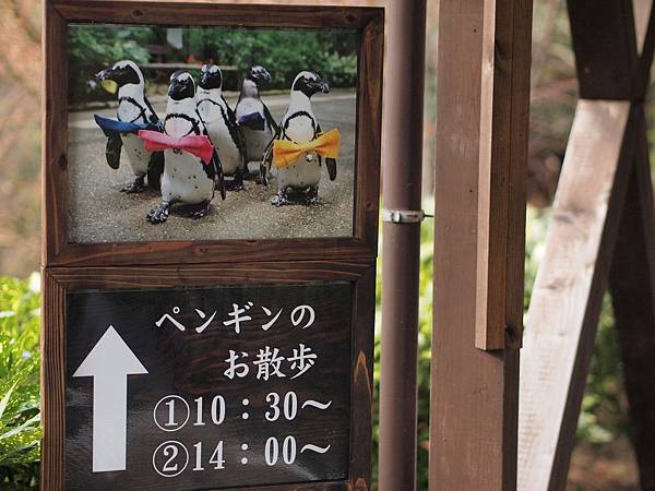 松江 Vogel Park Pe Jpg 東方小飛飛 痞客邦