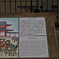 P1051757.jpg