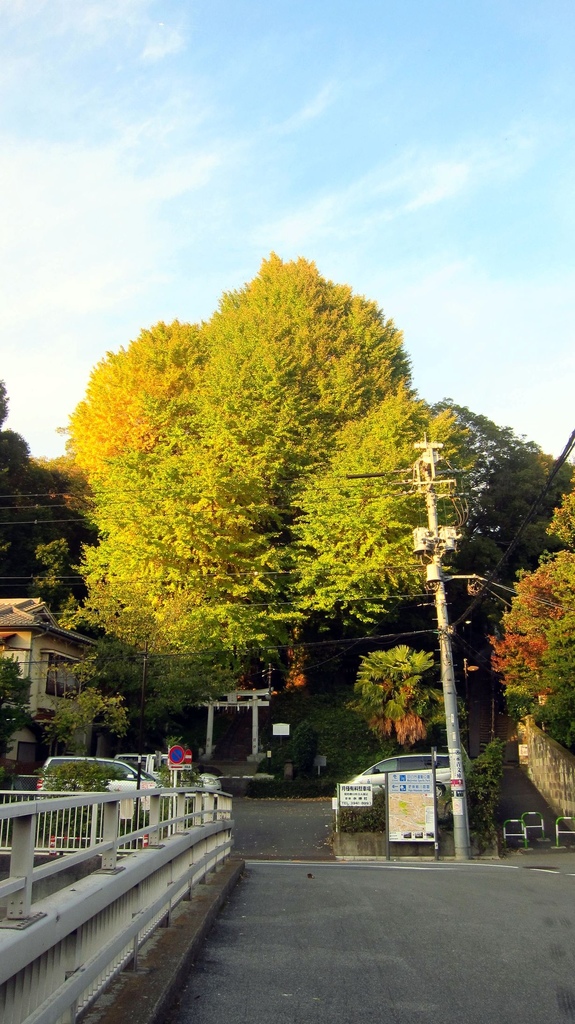 IMG_3903.JPG IMG_3903.JPG