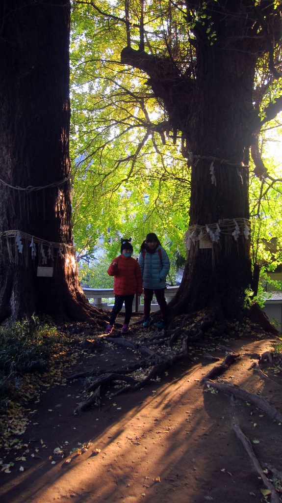 IMG_3908.JPG IMG_3908.JPG