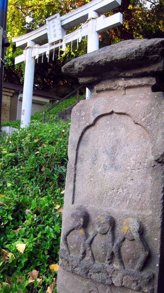 IMG_3911.JPG IMG_3911.JPG