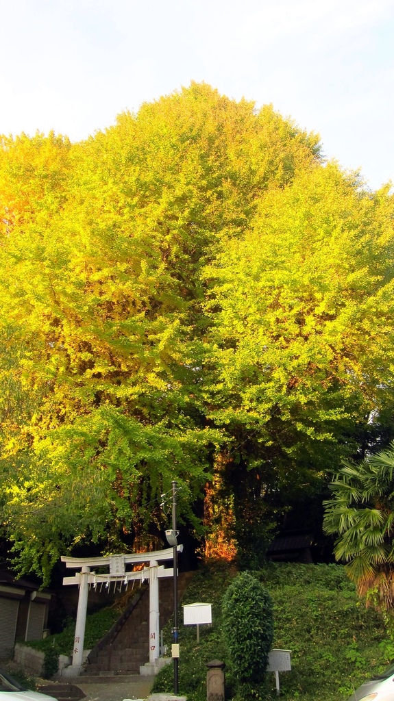 IMG_3915.JPG IMG_3915.JPG