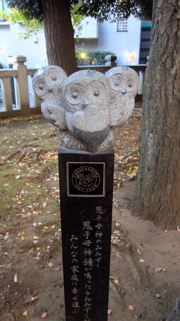 IMG_3925.JPG IMG_3925.JPG