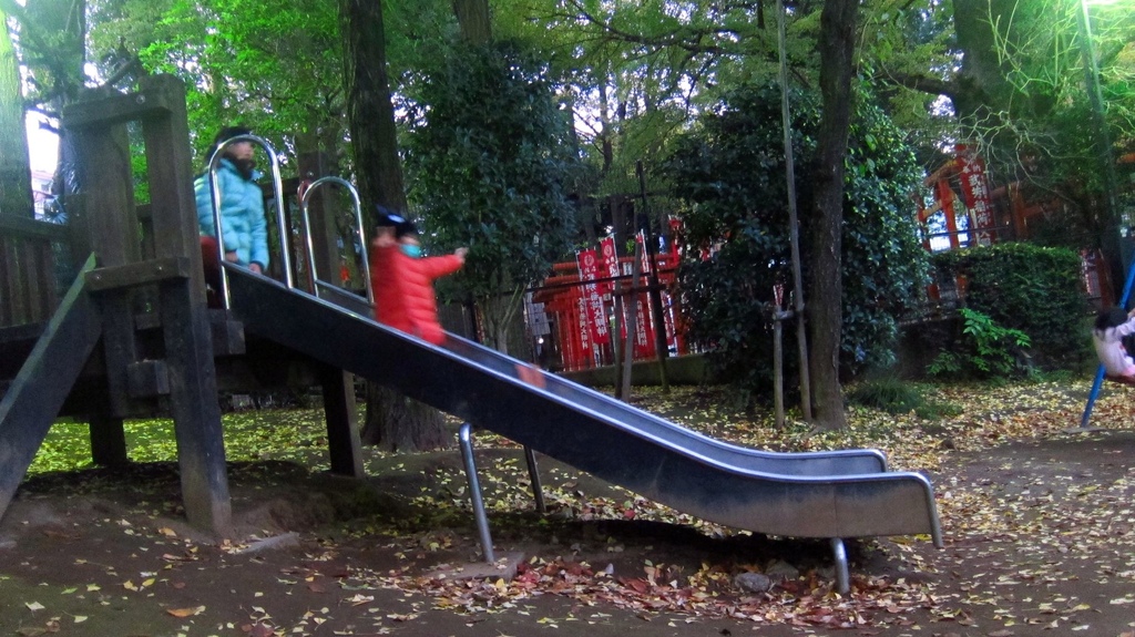 IMG_3935.JPG IMG_3935.JPG