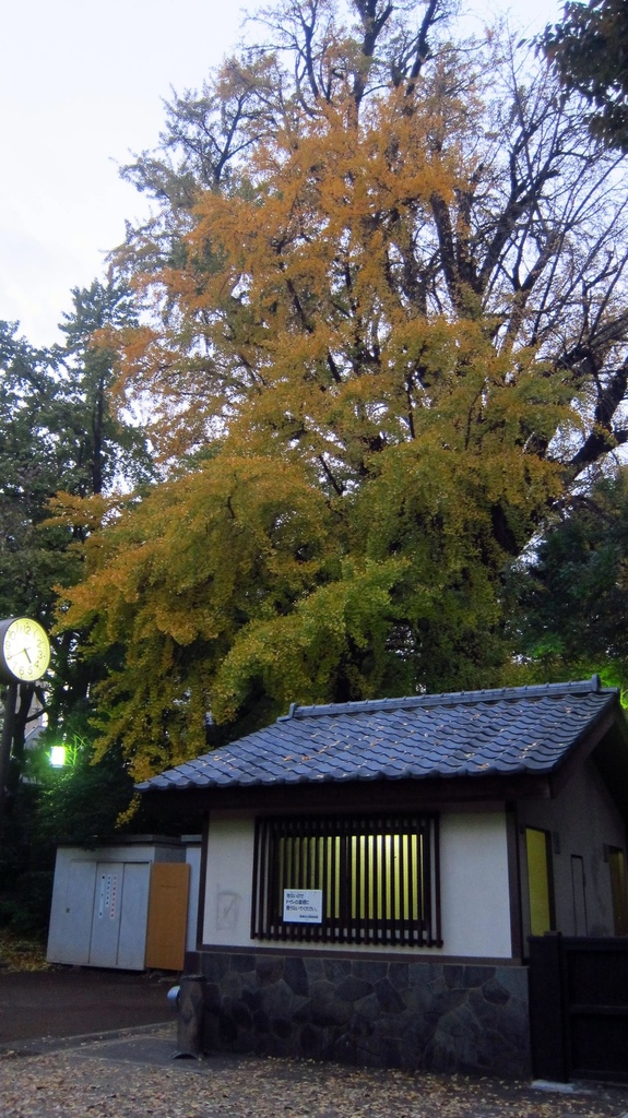 IMG_3937.JPG IMG_3937.JPG