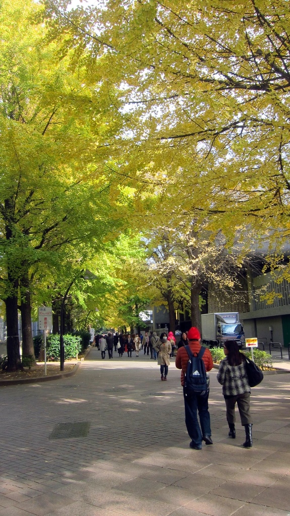 IMG_4153.JPG IMG_4153.JPG