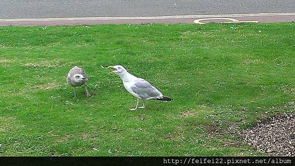 10635702_10203439934057136_7522229418377620694_n.jpg 10635702_10203439934057136_7522229418377620694_n.jpg