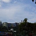 20121028_145051.jpg