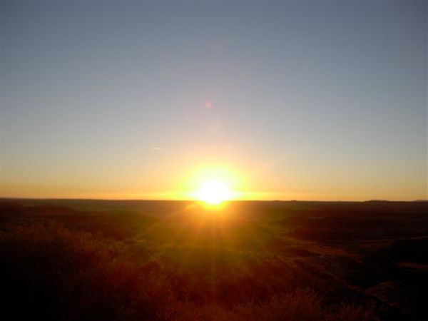 Petrified National Park