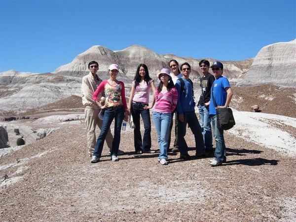 Petrified National Park