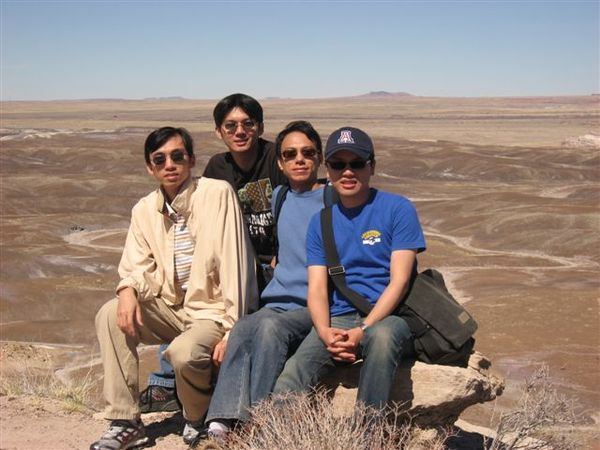 Petrified National Park