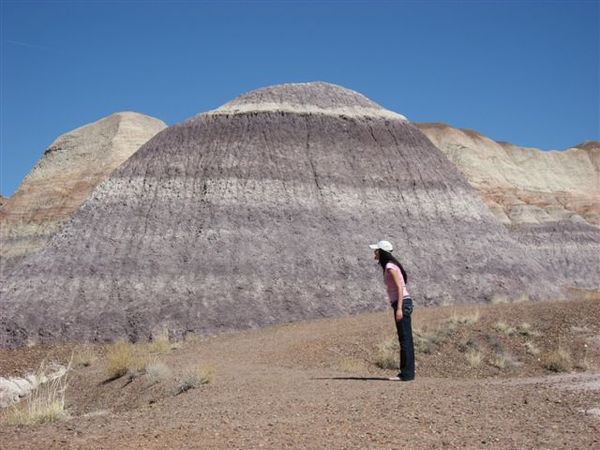 Petrified National Park