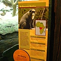 MN Zoo
