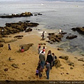 Cannanery Row, Monterey Bay Aquarium Museum @ Monterey