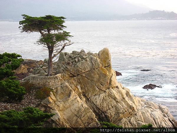 17-Mile Drive