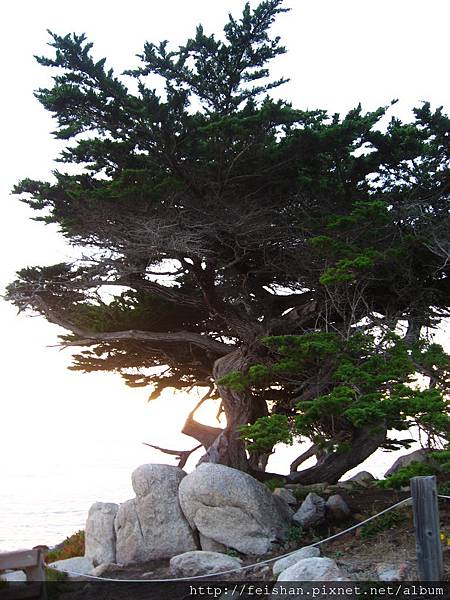 17-Mile Drive