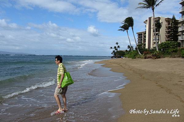 Day 4: West Maui's North Shore