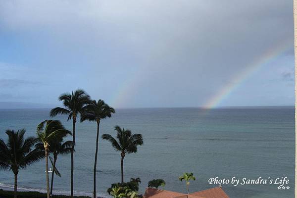 Day 5: Maui Whale Watching