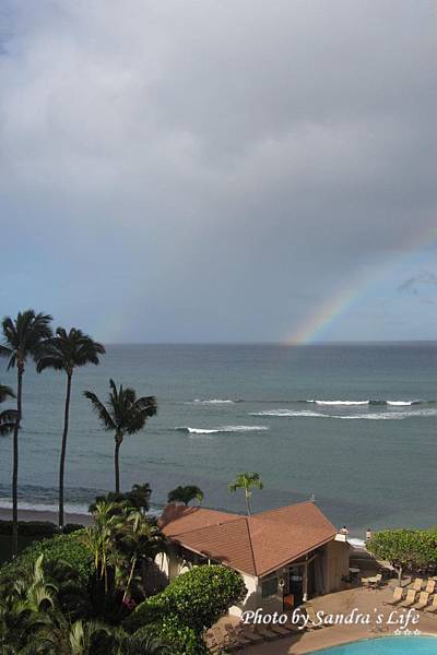 Day 5: Maui Whale Watching