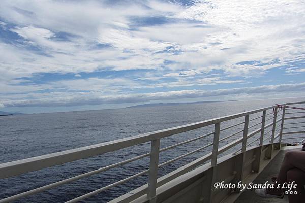 Day 5: Maui Whale Watching