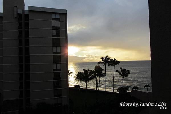 Day 5: Maui Whale Watching