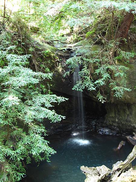 Big Basin Redwoods State Park