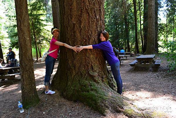 Roaring Camp Railroads