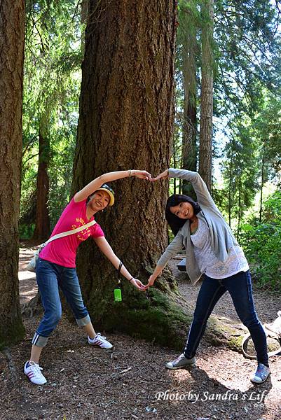 Roaring Camp Railroads