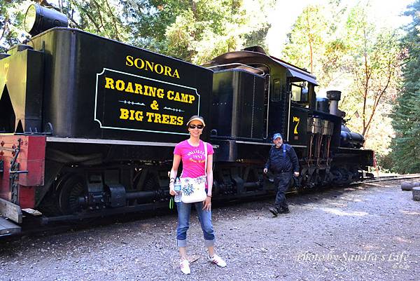 Roaring Camp Railroads