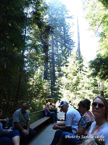 Roaring Camp Railroads