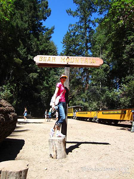 Roaring Camp Railroads